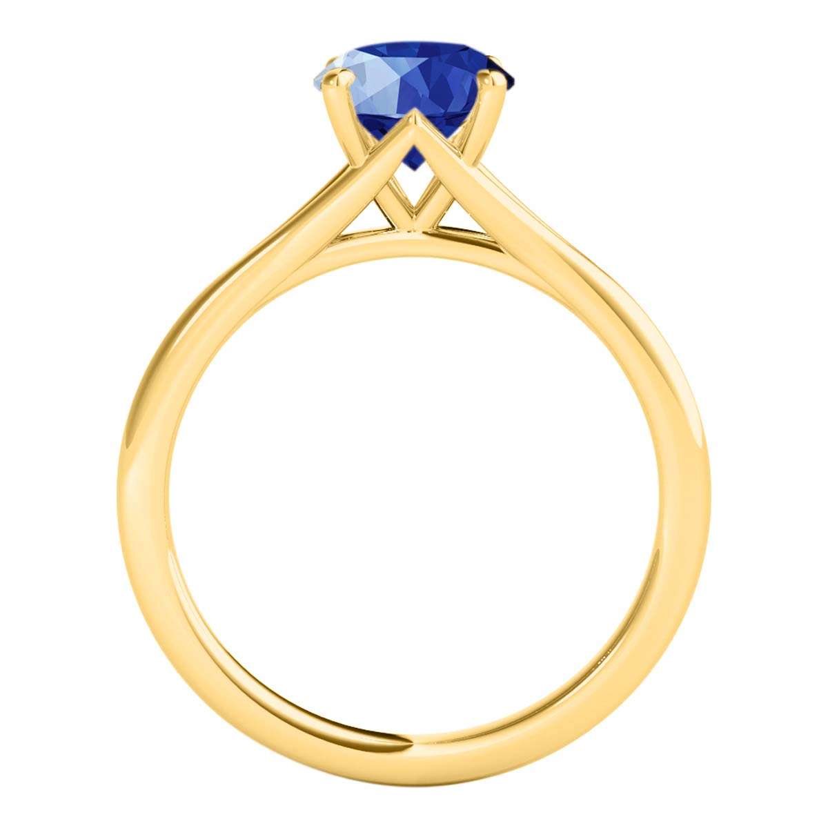 Mauli Jewels 1.00 Carat Round Shape Sapphire Gemstone Prong Set Ring in 10K Rose, White & Yellow Gold Mauli Jewels